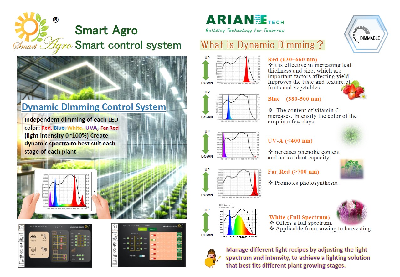 Dynamic Dimming Control System - 1